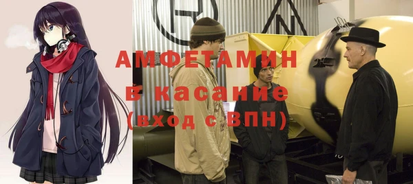 стаф Аркадак