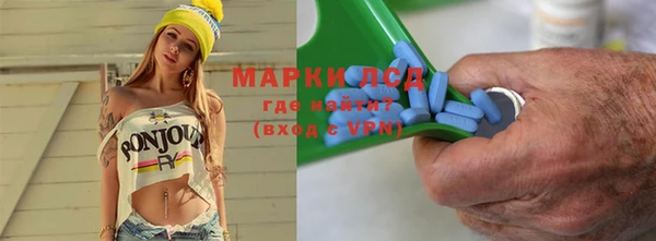 стаф Аркадак