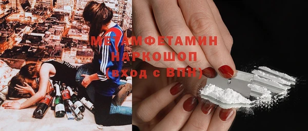 стаф Аркадак