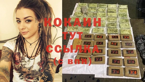 стаф Аркадак