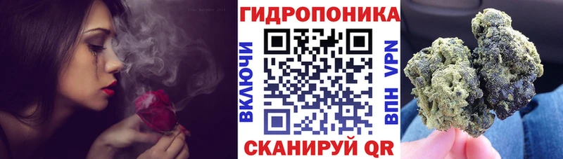 omg ссылки Сокол Бошки Шишки White Widow